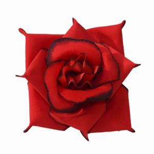 Головка бархатной розы