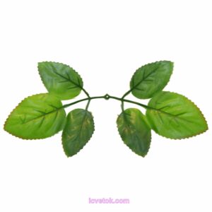 Листья розы с темными листьями