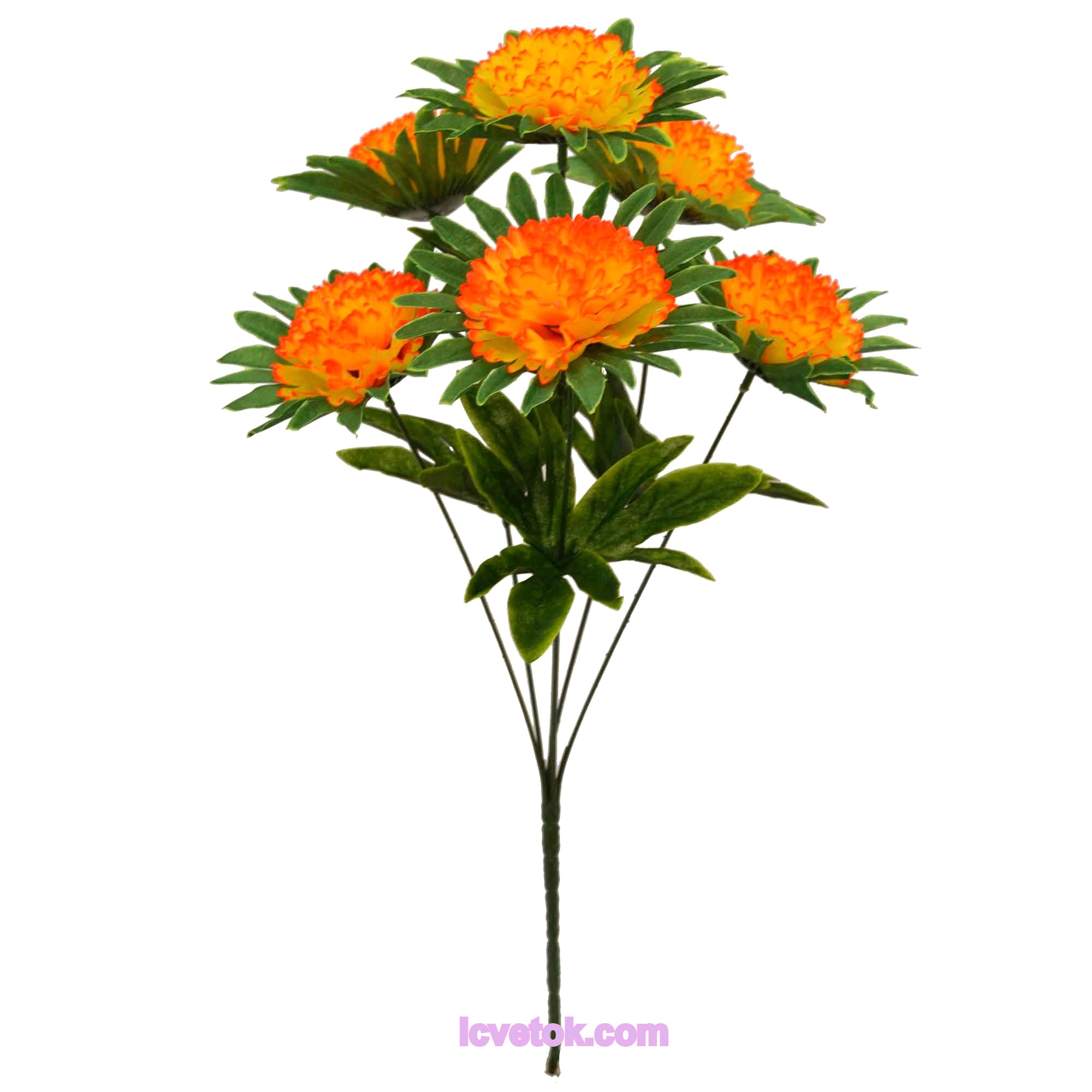 _DSC5449пп Гвоздика огненная с подставкой