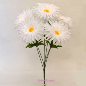 Ромашка белая на высокой ножке