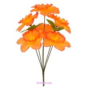 Нарцисс не атласный непрес