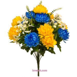 Хризантема желто-синяя