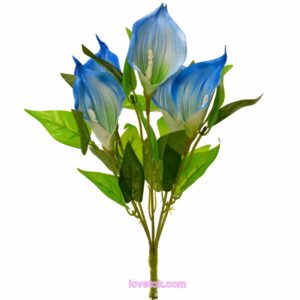 Калла латекснаяя низкая