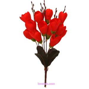 Крокус на коричневой ножке