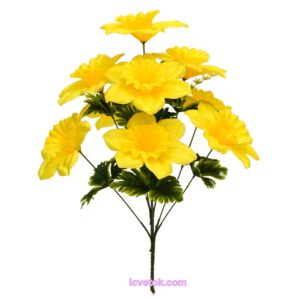 Нарцис непрес в синий и желтый