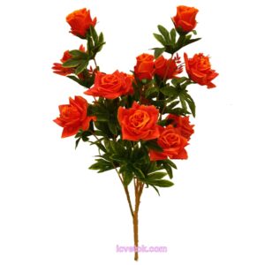 Роза дерево новая