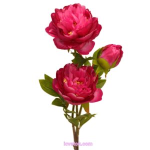 Пион веткой на средней ножке