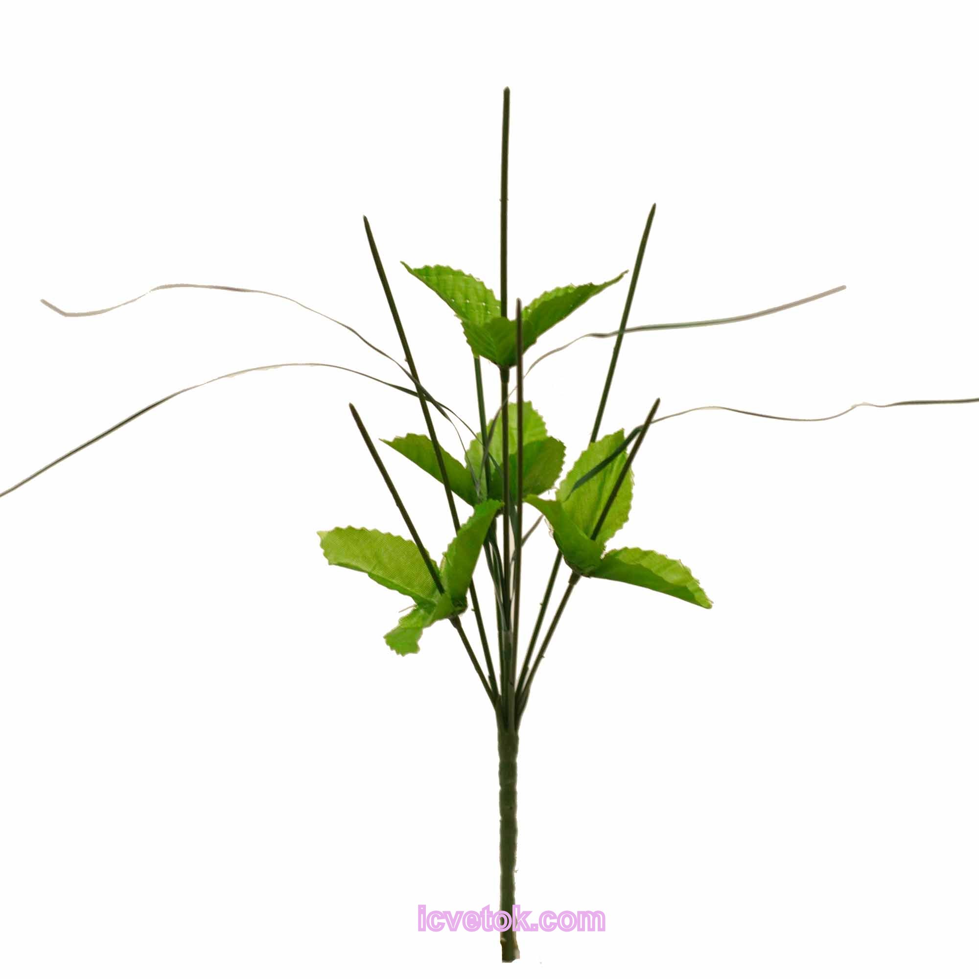 нога с листьями Нога маленькая с листьями и травкой