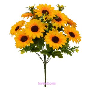 Подсолнух с детками