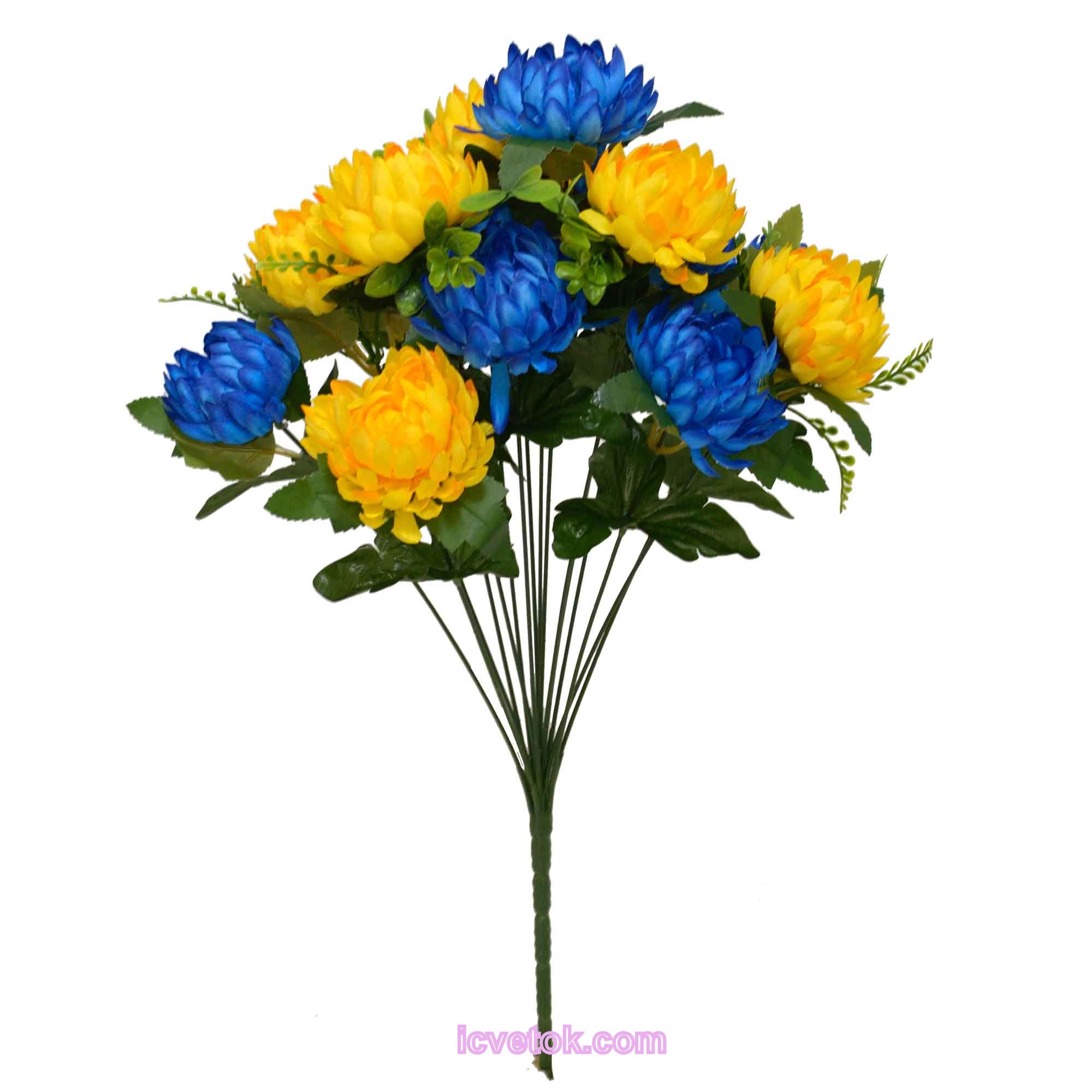 Астра желто-синяя Астра желто-синяя