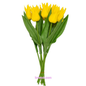 Тюльпан латексный острый