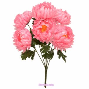 Хризантема с атласными головами