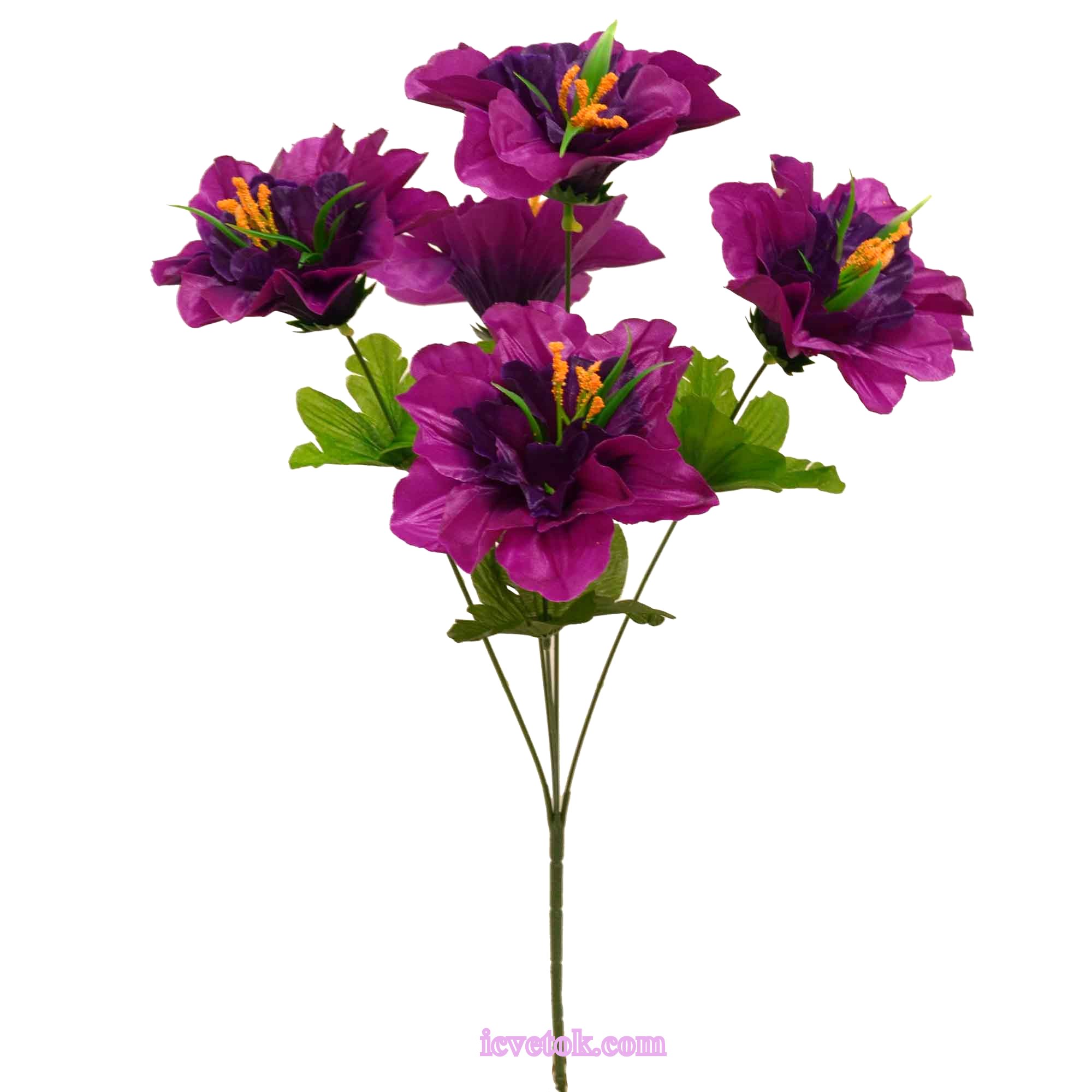 Мальва с травкой высокая Мальва с травкой высокая