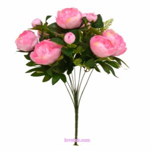 Пион с детками поменьше