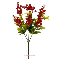 Калина висока довгенька 6(50)