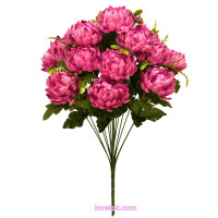 Хризантема натуральна 15(53)