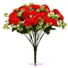 Гвоздика кущем 18(43)