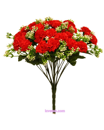 Гвоздика кущем 18(43)